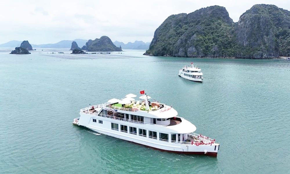 Luxury cruises set sail in Bai Tu Long Bay
